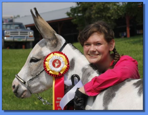 Bar 3S Look at Me Fox