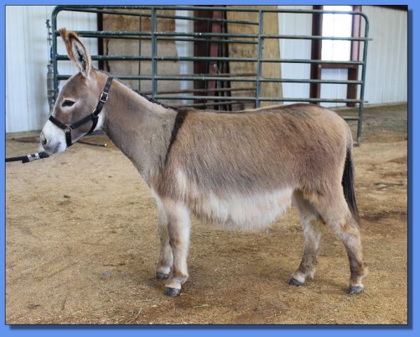 Ass-Pirin Acres Coreena