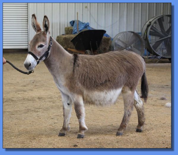 Ass-Pirin Acres Jacqueena