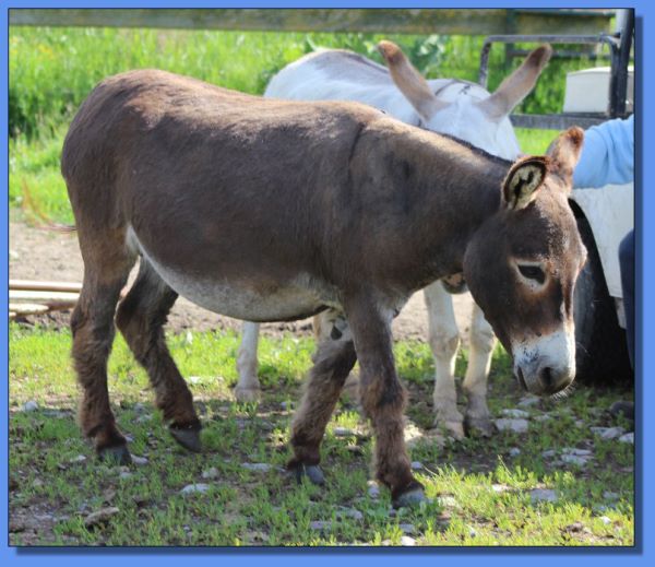 Country Music's Juliane Hough