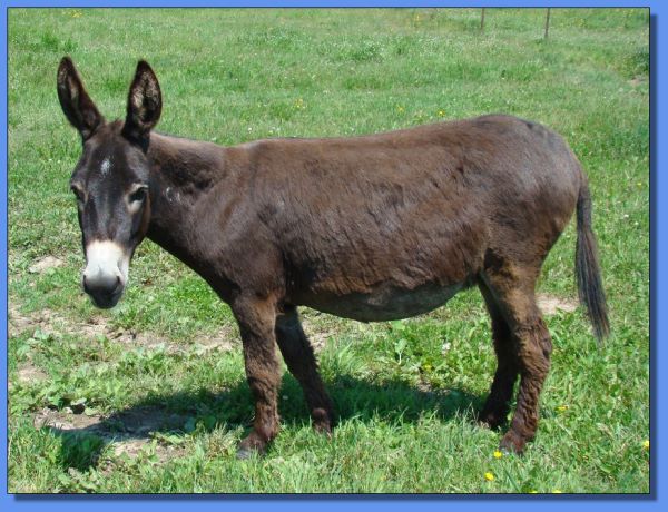 LER's Miss Fascination