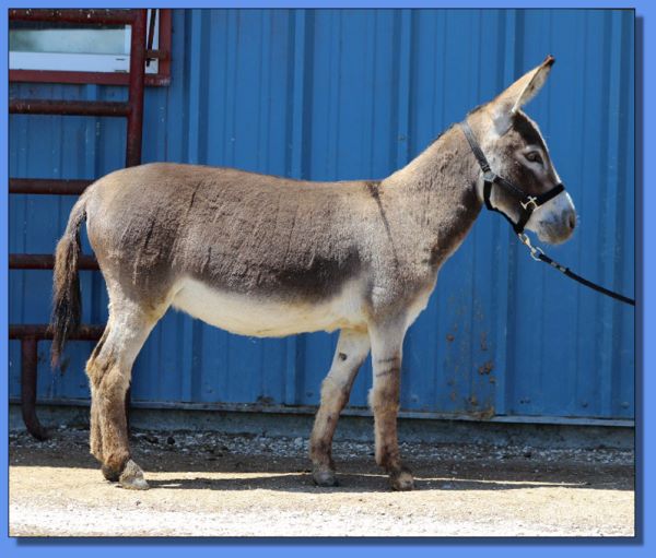 Ass-Pirin Acres Nalonie