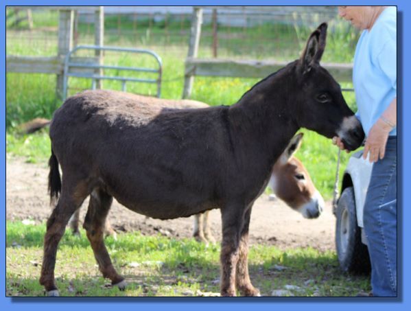 Pitcher Perfect Gracie