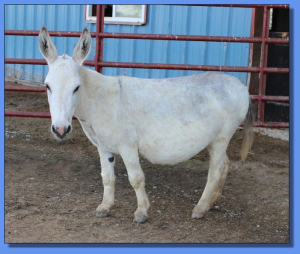 Mini Moon's She's A Hottie