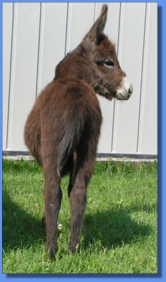 Click photo to enlarge image