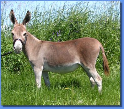 Ass-Pirin Acres Gotta Luv Her