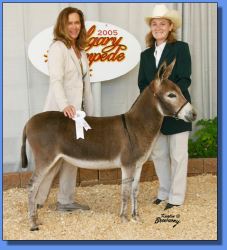 Lot # 19 ~ Stoney Acres Bella Rosa