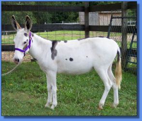 Lot # 9 ~ Carter's Imagene