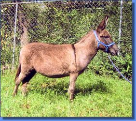 Classic Covergirl - Lot 10