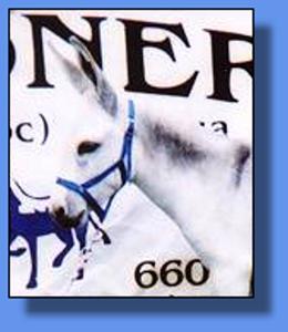 Lot # 29 ~ Gardner's Lorinda Faye