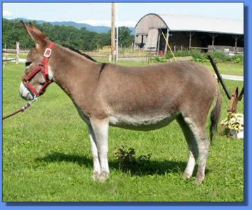 Lot # 16  ~ MGF Jean Rouge 405