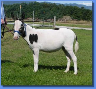 Lot #35 ~ MGF Little Empress 573