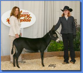 Lot #4 ~ Stoney Acres Prima Dawna