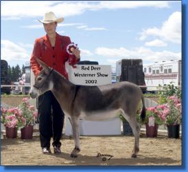 Raspberry Twist - Lot #9