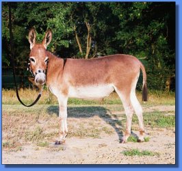 Lot # 18 ~ Hill Country Sedona