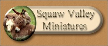 Squaw Valley Miniatures