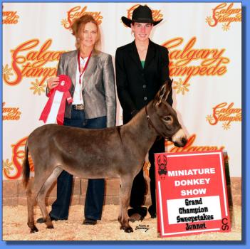 Lot #13 ~ Stoney Acres Cicada