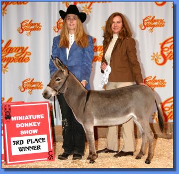 Lot # 18 ~ Stoney Acres Honey