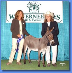 Lot # 14 ~ Stoney Acres Paddykake