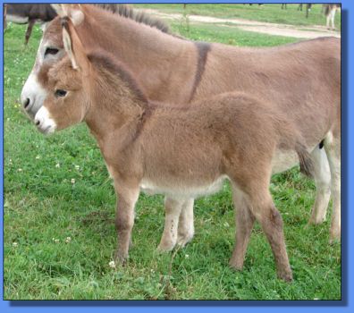 Ass-Pirin Acres Tanesha