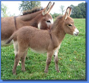 Ass-Pirin Acres Tanesha