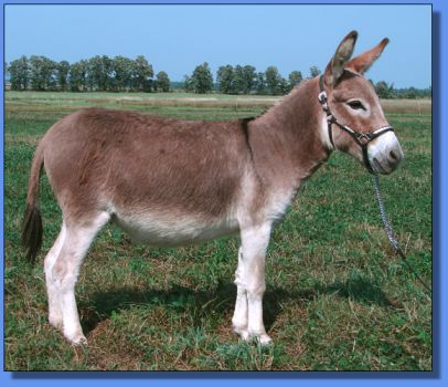 Click photo to enlarge